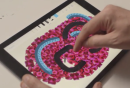 adobe brush