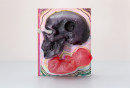 Cover by Wayne Coyne, of The Flaming Lips