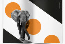 tusk_conservation_awards_brochure_02