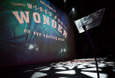 Wired for Wonder