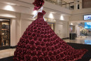 The-Red-Rose-Dress-1---Jason-Corroto