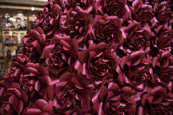 The-Red-Rose-Dress-3---Jason-Corroto